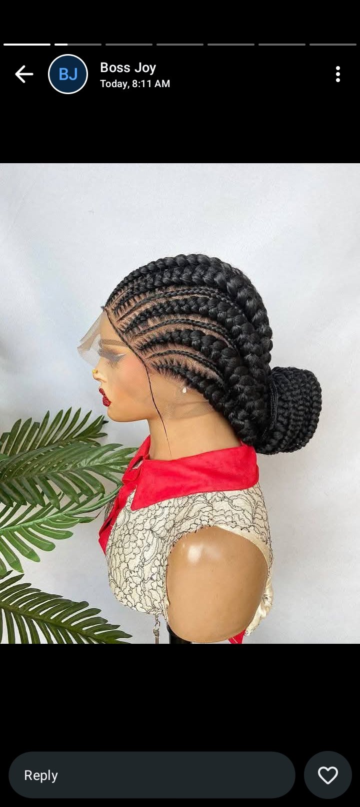 Braided wigs view 2