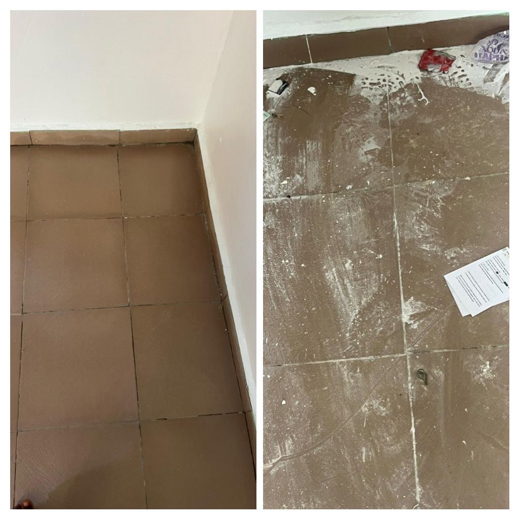 Professional cleaner view 2