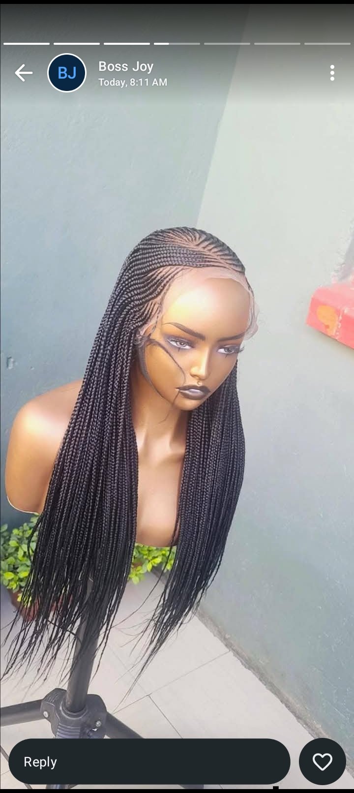 Braided wigs view 3