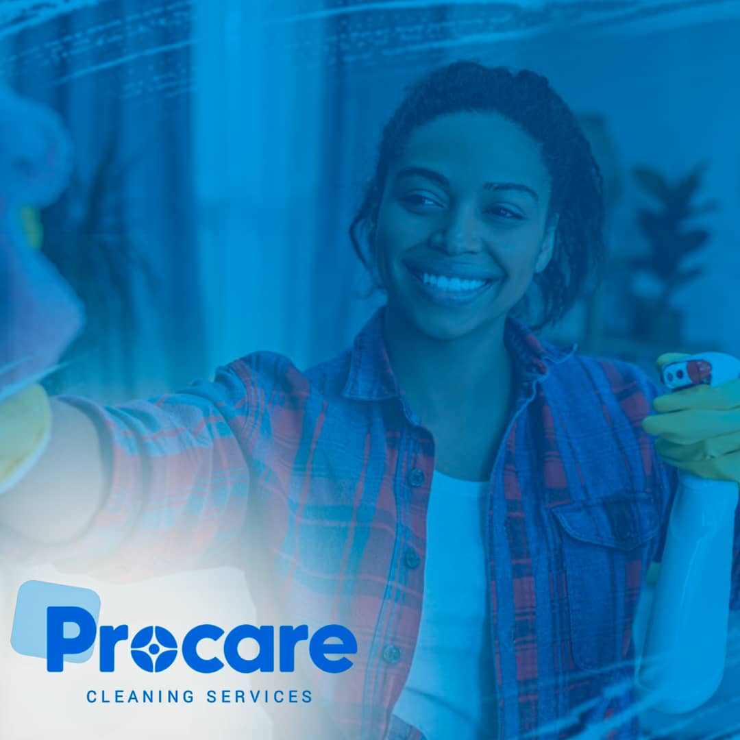 Professional cleaner